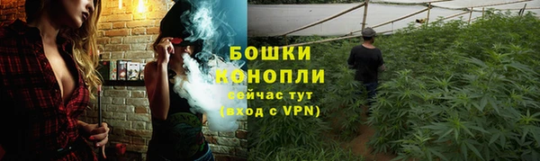 стафф Лабытнанги
