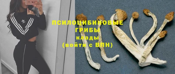 герыч Лиски