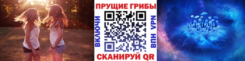 Галлюциногенные грибы GOLDEN TEACHER  где купить наркоту  Вологда 
