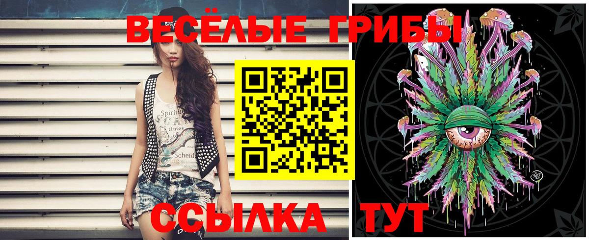 Псилоцибиновые грибы Cubensis  Вологда 