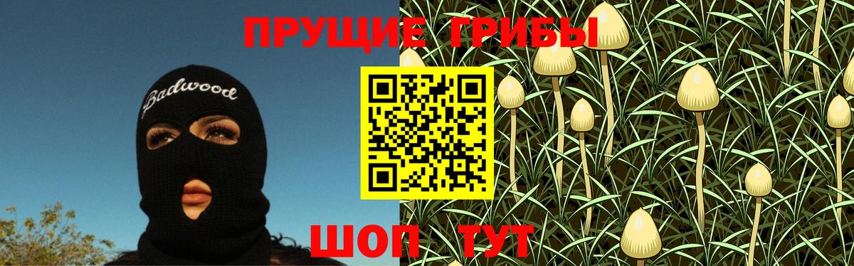 Псилоцибиновые грибы MAGIC MUSHROOMS  Галлюциногенные грибы Psilocybine cubensis  Вологда  Вход с VPN 