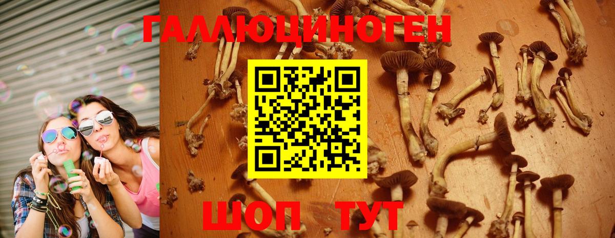 Псилоцибиновые грибы мухоморы Вологда