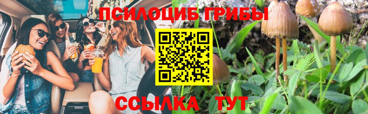 LSD-25 Вологда
