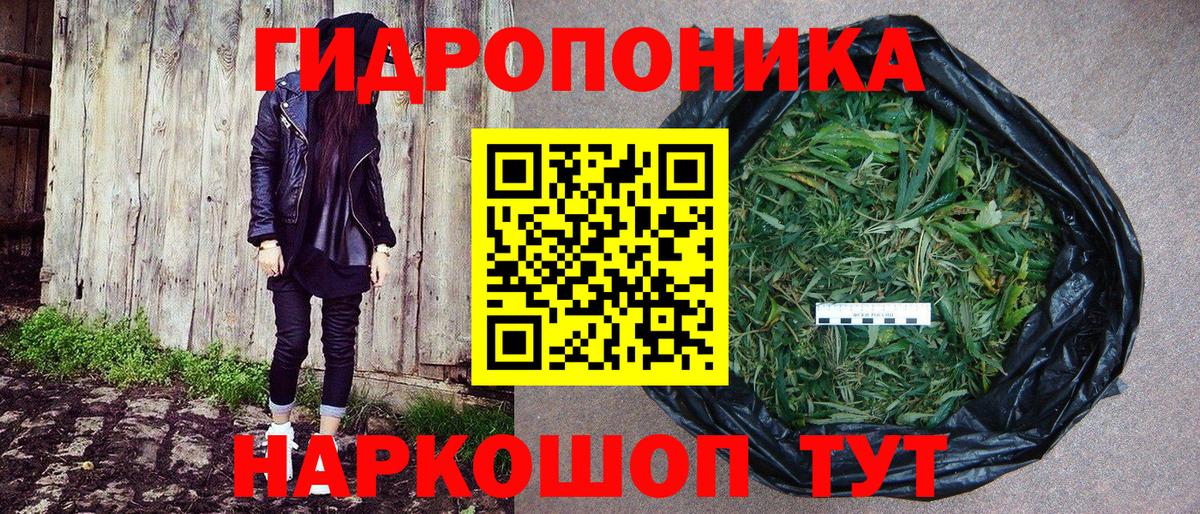 Бошки Шишки MAZAR Вологда